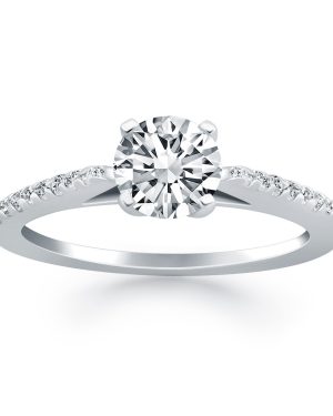 14k White Gold Micro Prong Diamond Cathedral Engagement Ring