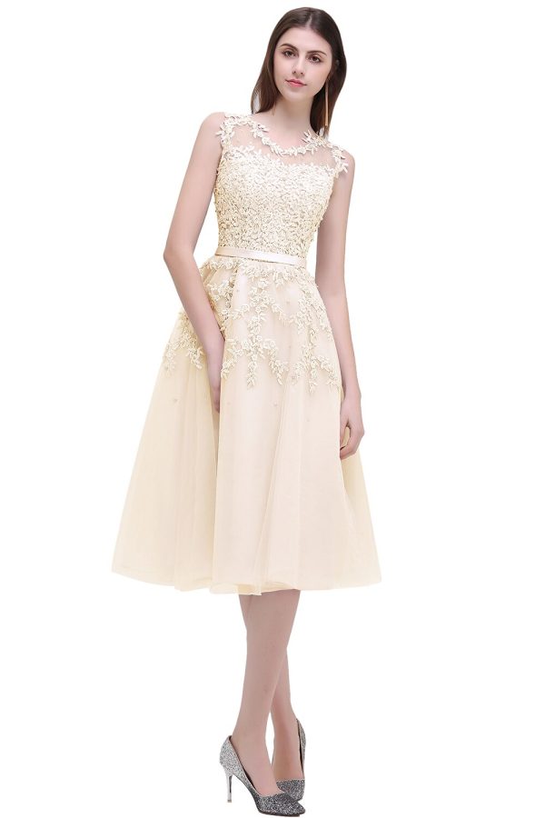 Sleeveless Lace Prom Dresses 25