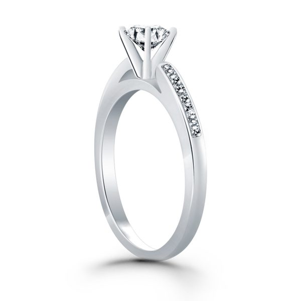 14k White Gold Diamond Channel Cathedral Engagement Ring 2