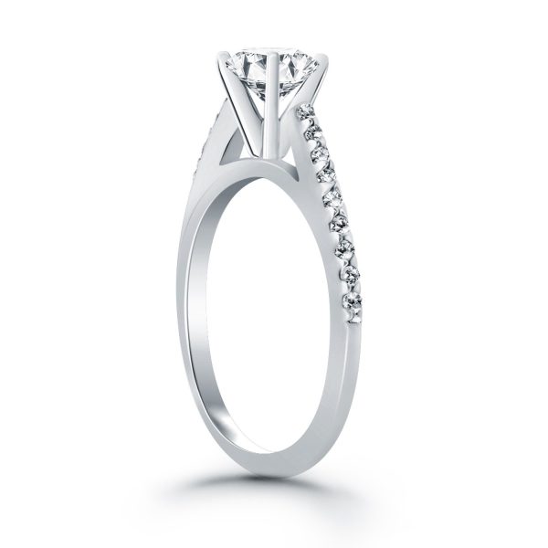 14k White Gold Micro Prong Diamond Cathedral Engagement Ring 2
